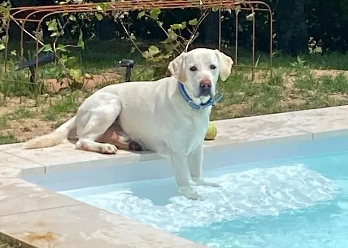 Сasa de vacaciones Teja Vieja Duruelo