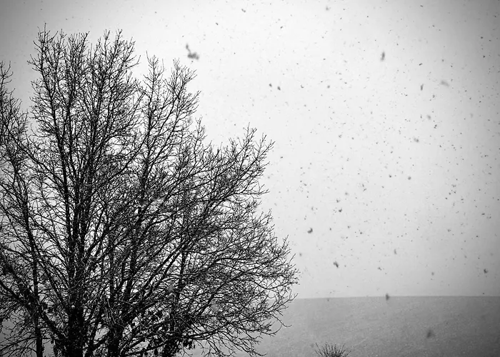 Сasa de vacaciones Teja Vieja