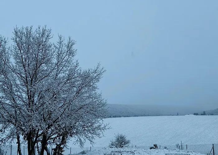 Сasa de vacaciones Teja Vieja