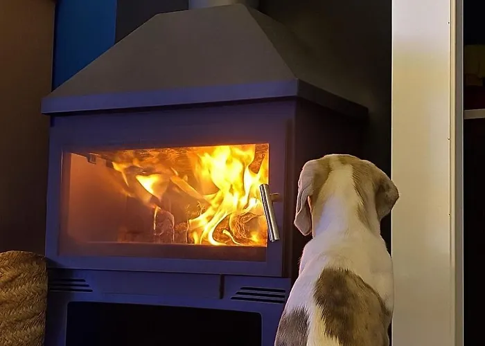 Teja Vieja Сasa de vacaciones *