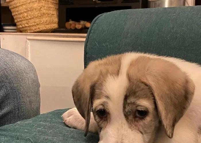 Teja Vieja Сasa de vacaciones